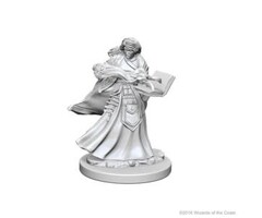 Wizkids/NECA LLC Nolzur's Marvelous Miniatures: Human Wizard Female (2018)