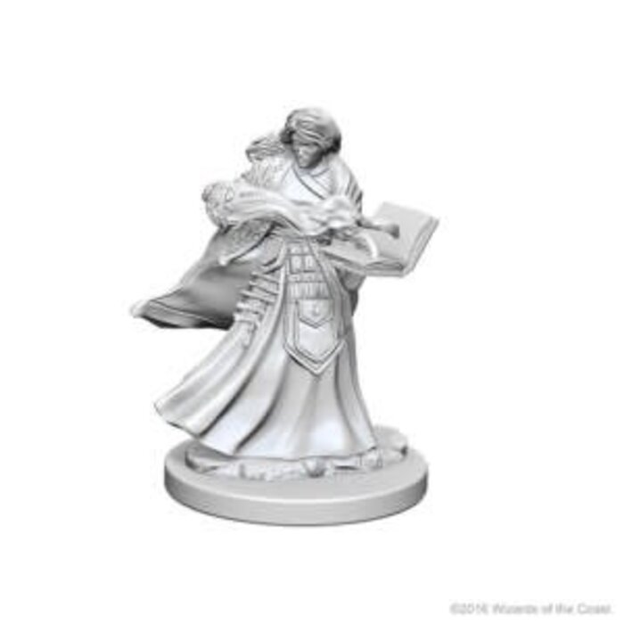 Wizkids/NECA LLC Nolzur's Marvelous Miniatures: Human Wizard Female (2018)