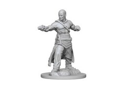 Wizkids/NECA LLC Pathfinder Deep Cuts Miniatures: Human Monk Male