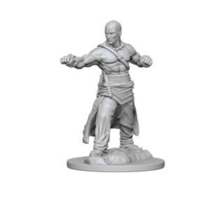 Wizkids/NECA LLC Pathfinder Deep Cuts Miniatures: Human Monk Male