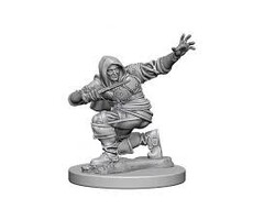 Wizkids/NECA LLC Pathfinder Deep Cuts Miniatures: Human Rogue Male