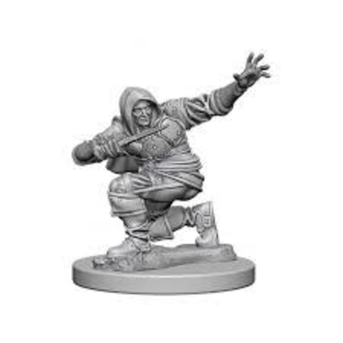 Wizkids/NECA LLC Pathfinder Deep Cuts Miniatures: Human Rogue Male