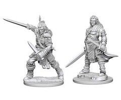 Wizkids/NECA LLC Pathfinder Deep Cuts Miniatures: Human Fighter Male