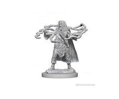 Wizkids/NECA LLC Nolzur's Marvelous Miniatures: Human Sorcerer Male (2018)
