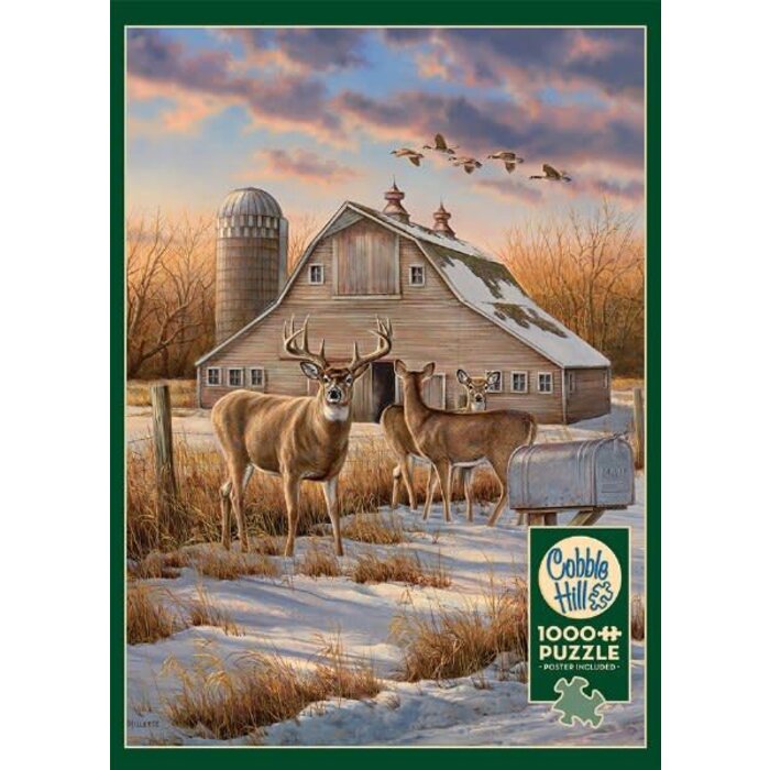 Cobble Hill Puzzles 1000 pcs - Rural Route
