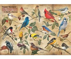 Cobble Hill Puzzles 1000 pcs - Popular Backyard Wild Birds Of North America