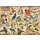 1000 pcs - Popular Backyard Wild Birds Of North America