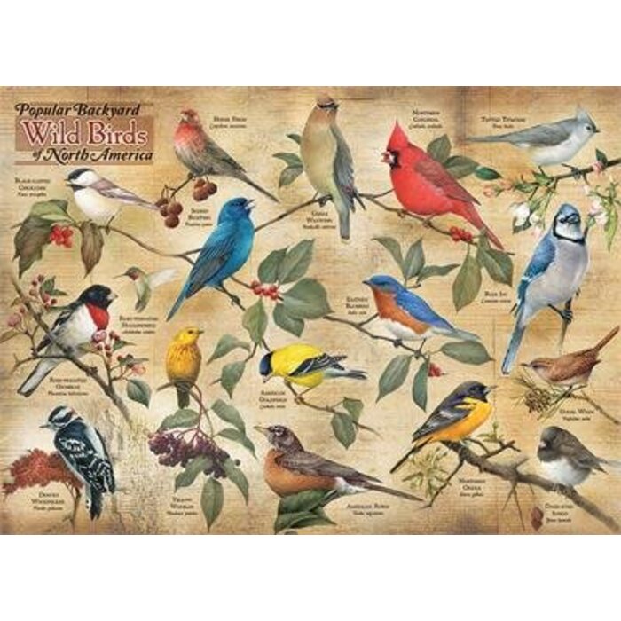 Cobble Hill Puzzles 1000 pcs - Popular Backyard Wild Birds Of North America