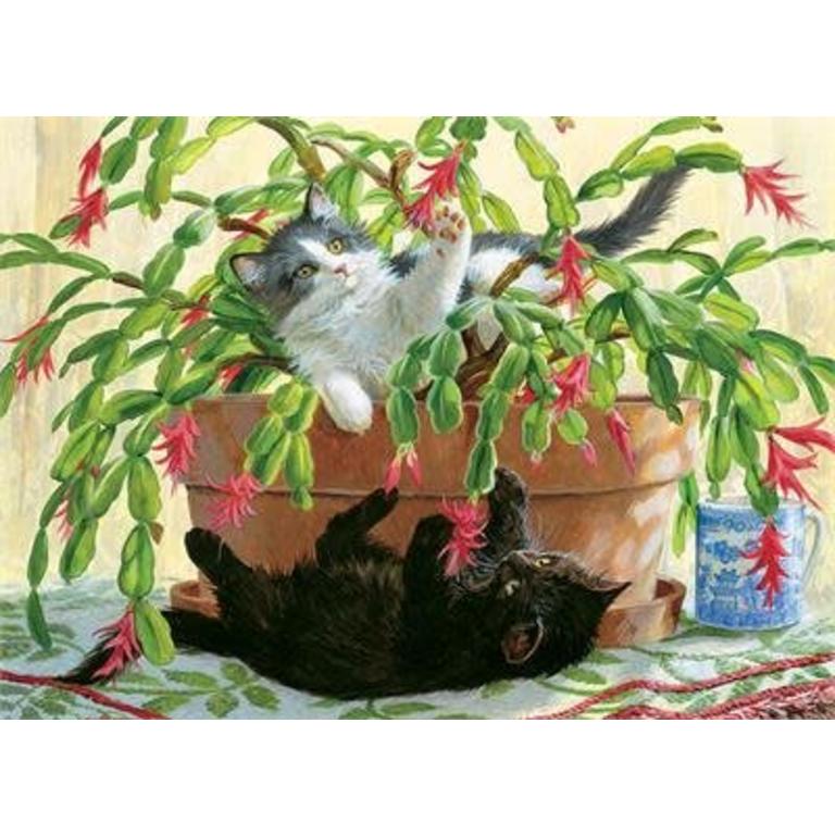 https://cdn.shoplightspeed.com/shops/622104/files/10135573/768x768x2/cobble-hill-puzzles-1000-pcs-cactus-kitties.jpg