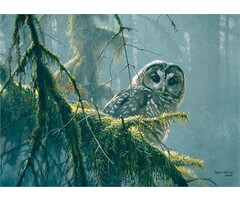 Cobble Hill Puzzles 500 pcs - Mossy Branches, Spotted Owl