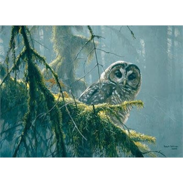 Cobble Hill Puzzles 500 pcs - Mossy Branches, Spotted Owl