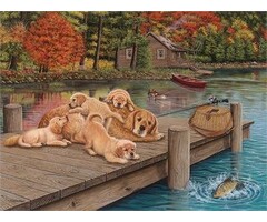 Cobble Hill Puzzles 275 pcs - Lazy Day On The Dock (Easy Handling)