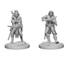 Wizkids/NECA LLC Pathfinder Deep Cuts Miniatures: Elf Bard Female