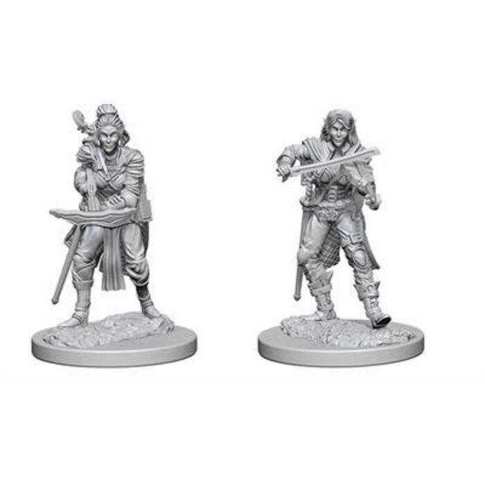 Wizkids/NECA LLC Pathfinder Deep Cuts Miniatures: Elf Bard Female