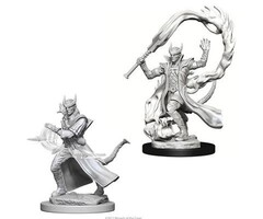 Wizkids/NECA LLC Nolzur's Marvelous Miniatures: Tiefling Sorcerer Male