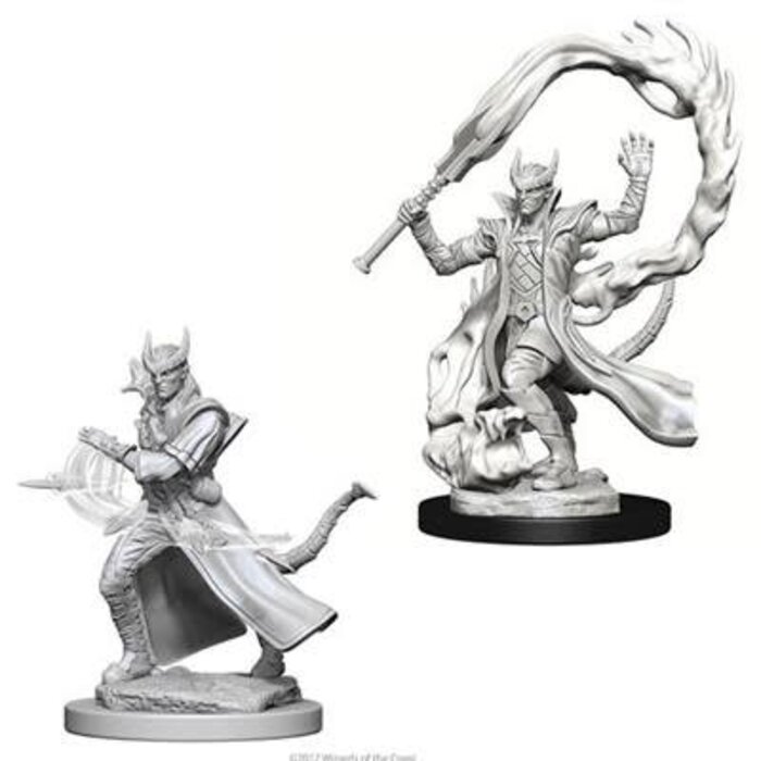 Wizkids/NECA LLC Nolzur's Marvelous Miniatures: Tiefling Sorcerer Male