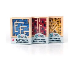 Mind Matters Toys Labyrinth Logic Puzzles