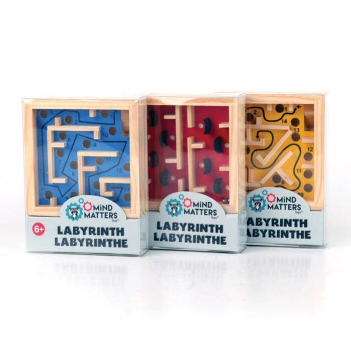 Mind Matters Toys Labyrinth Logic Puzzles