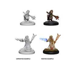 Wizkids/NECA LLC Nolzur's Marvelous Miniatures: Gnome Wizard Female