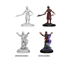 Wizkids/NECA LLC Nolzur's Marvelous Miniatures: Tiefling Warlock Male