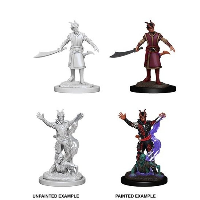 Wizkids/NECA LLC Nolzur's Marvelous Miniatures: Tiefling Warlock Male