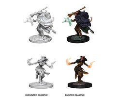 Wizkids/NECA LLC Nolzur's Marvelous Miniatures: Tiefling Warlock Female
