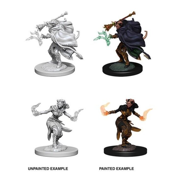 Wizkids/NECA LLC Nolzur's Marvelous Miniatures: Tiefling Warlock Female