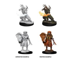 Wizkids/NECA LLC Nolzur's Marvelous Miniatures: Human Druid Male