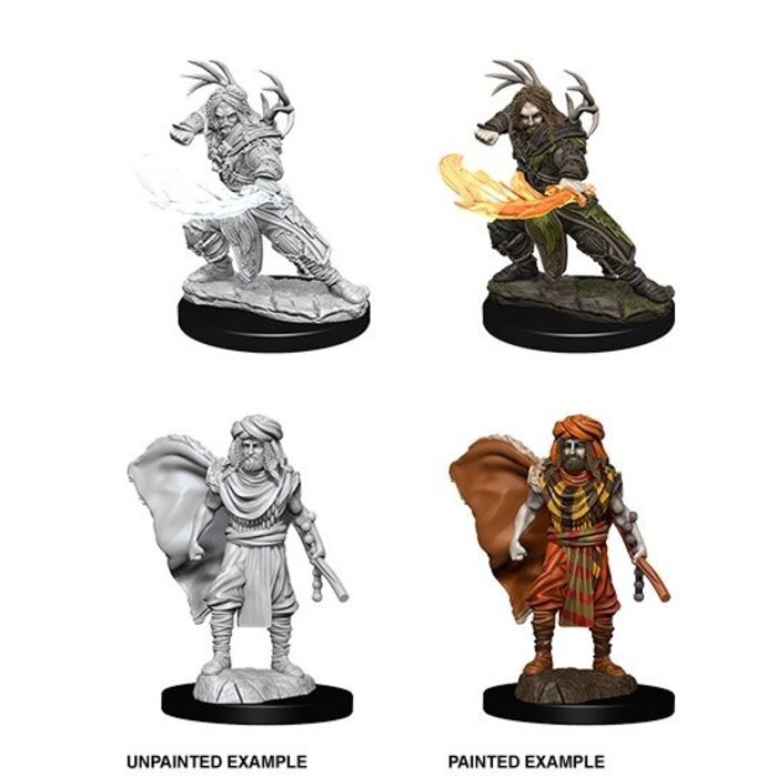 Wizkids/NECA LLC Nolzur's Marvelous Miniatures: Human Druid Male