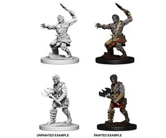 Wizkids/NECA LLC Nolzur's Marvelous Miniatures: Nameless One