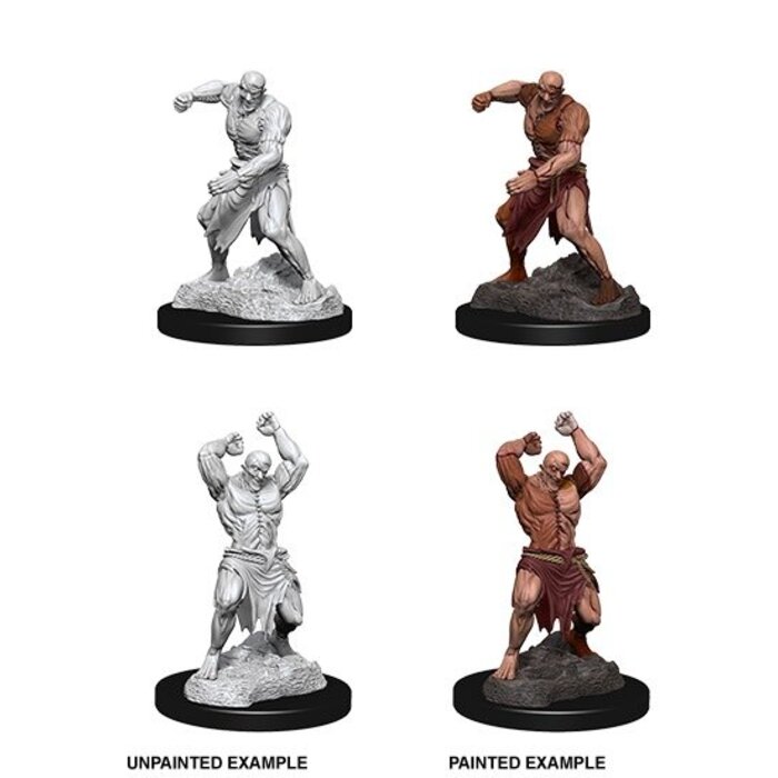 Wizkids/NECA LLC Nolzur's Marvelous Miniatures: Flesh Golem (2018)