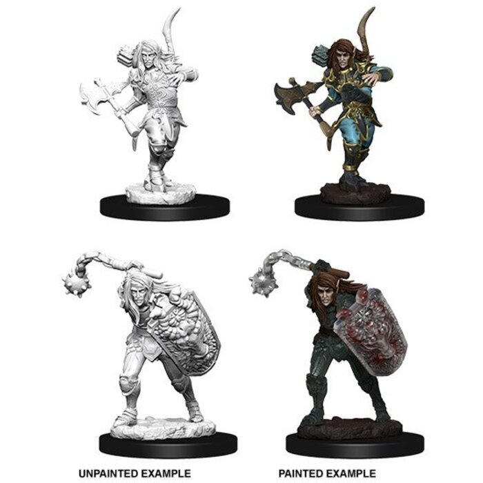 Wizkids/NECA LLC Pathfinder Deep Cuts Miniatures: Elf Fighter Male