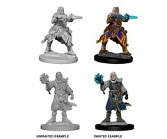 Wizkids/NECA LLC Pathfinder Deep Cuts Miniatures: Human Wizard Male
