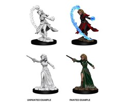 Wizkids/NECA LLC Pathfinder Deep Cuts Miniatures: Human Wizard Female
