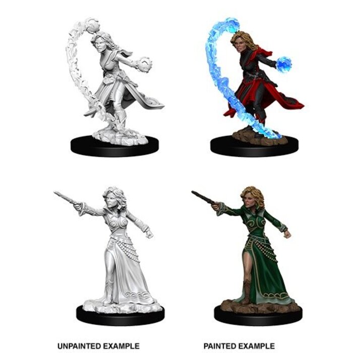 Wizkids/NECA LLC Pathfinder Deep Cuts Miniatures: Human Wizard Female