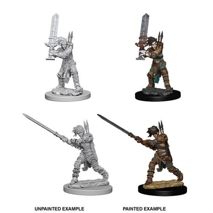 Wizkids/NECA LLC Pathfinder Deep Cuts Miniatures: Human Barbarian Female