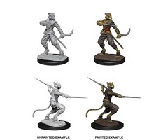 Wizkids/NECA LLC Nolzur's Marvelous Miniatures: Tabaxi Rogue Male