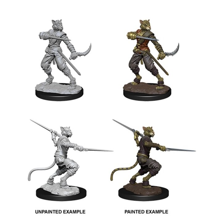 Wizkids/NECA LLC Nolzur's Marvelous Miniatures: Tabaxi Rogue Male