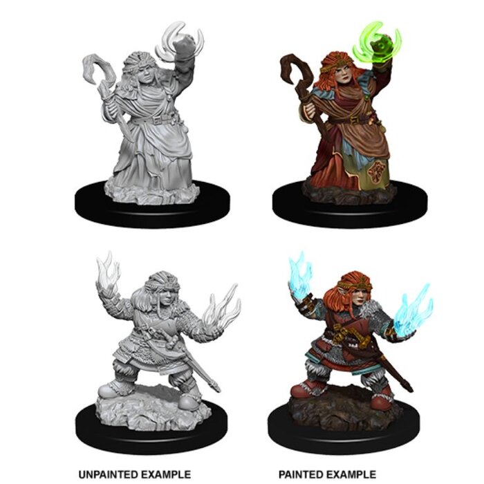 Wizkids/NECA LLC Pathfinder Deep Cuts Miniatures: Dwarf Summoner Female