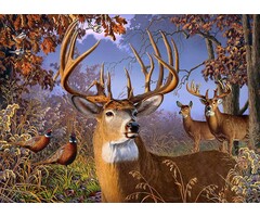 Cobble Hill Puzzles 500 pcs - Deer and Pheasant