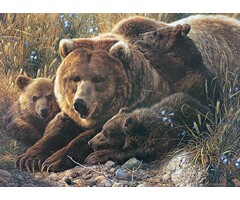 Cobble Hill Puzzles 350 pcs - Grizzly Family (Family Puzzle)
