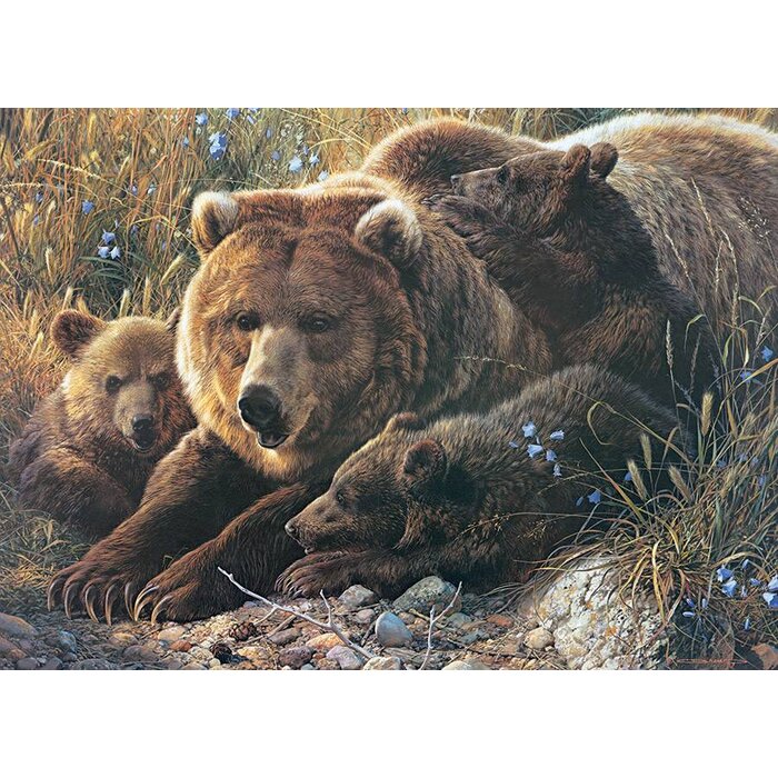 Cobble Hill Puzzles 350 pcs - Grizzly Family (Family Puzzle)