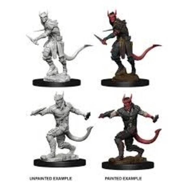 Wizkids/NECA LLC Nolzur's Marvelous Miniatures: Tiefling Rogue Male
