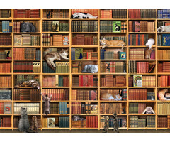 Cobble Hill Puzzles 1000 pcs - The Cat Library