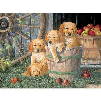 Cobble Hill Puzzles 350 pcs - Puppy Pail (Family Puzzle) Cobble Hill Puzzles 350 pcs - Puppy Pail (Family Puzzle)