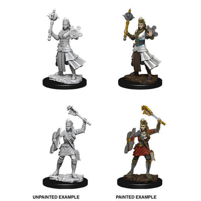 Wizkids/NECA LLC Nolzur's Marvelous Miniatures: Female Human Cleric
