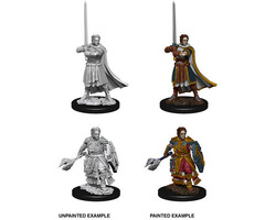 Wizkids/NECA LLC Nolzur's Marvelous Miniatures: Human Cleric Male