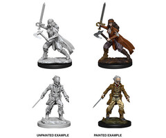 Wizkids/NECA LLC Nolzur's Marvelous Miniatures: Vampire Hunters