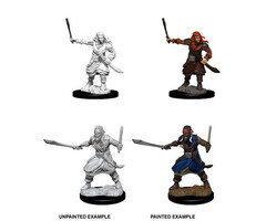 Wizkids/NECA LLC Nolzur's Marvelous Miniatures: Bandits