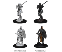 Wizkids/NECA LLC Nolzur's Marvelous Miniatures: Human Fighter Female